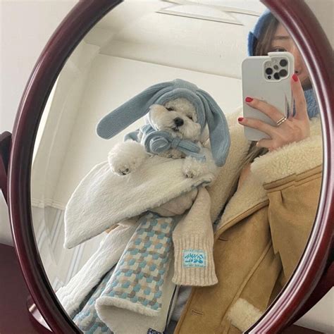 Cute And Sweet Winter Outfits For Dogs – DogMega.Com