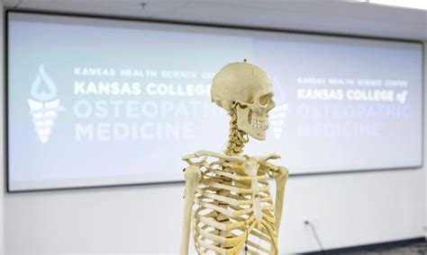 Newman University and Kansas College of Osteopathic Medicine announce ...