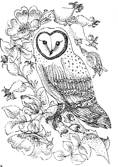 Free Printable Coloring Pages Of Owls Coloring Home