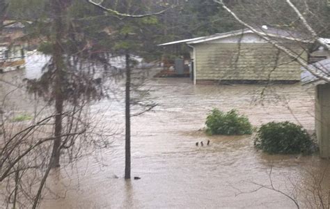 Rain Swollen Western Washington River Floods Homes In Brinnon