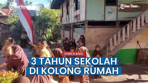 Murid Sdn Bolang Enrekang Belajar Di Kolong Rumah Pemkab Tutup Mata