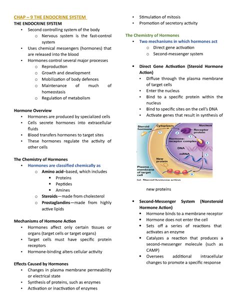 Chap All Chaps Chap The Endocrine System The Endocrine