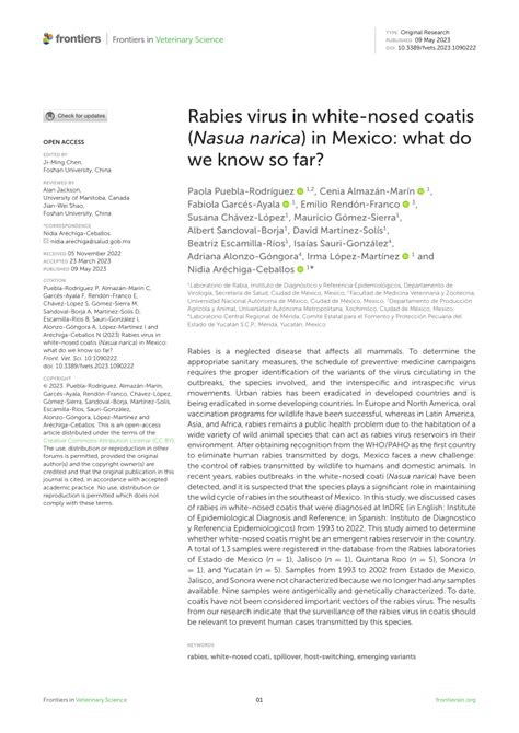 Pdf Rabies Virus In White Nosed Coatis Nasua Narica In Mexico What