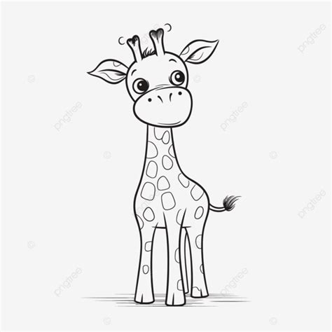 Cartoon Giraffe On A White Background Outline Sketch Drawing Vector