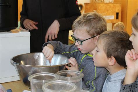 Ausflug Ins Umweltzentrum Stapelfeld Grundschule Cappeln