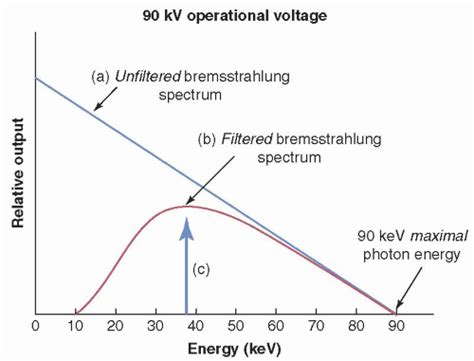 X Ray Production Tubes And Generators Radiology Key
