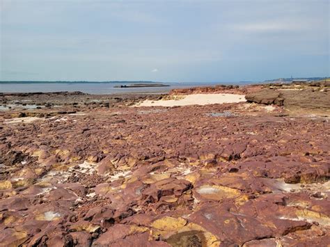 Notícias Devido à seca histórica do Rio Negro gravuras rupestres