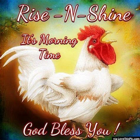 Rise And Shine Its Morning Time Pictures Photos And Images For