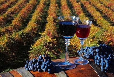Badacsony - Hungary | Weinprobe, Aldi, Wein