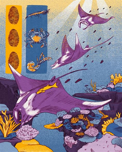 Manta Ray Print Etsy Funky Art Art Collage Wall Cute Art