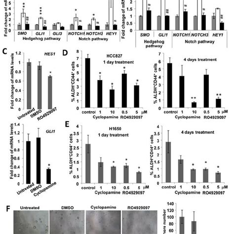 Hedgehog And Notch Signaling Were Involved In Aldh Hi Cd Hi Tic