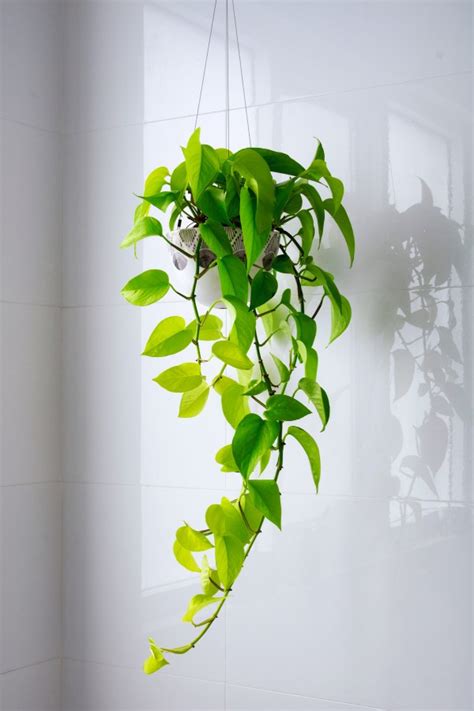 20 Ideas Para Decorar Un Baño Pequeño Mamá Sabe De Todo