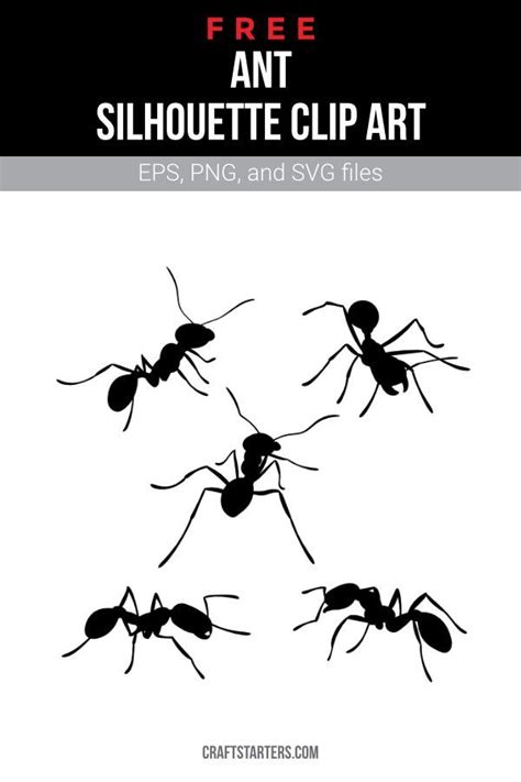 Free Ant Silhouette Clip Art | Escuela de verano, Escuela