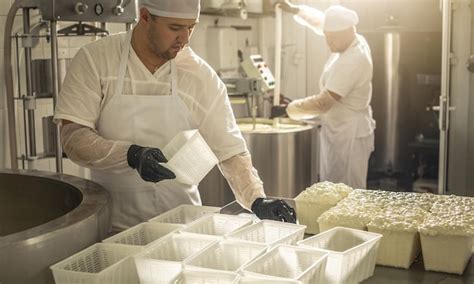 El hombre es un fabricante de queso en el proceso de producción de