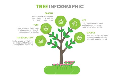 La Infografía De árbol Verde Con Icono De Ecología Medio Ambiente Y