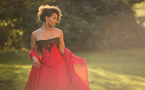 Ball Gown Red And Black Flash Sales Bellvalefarms