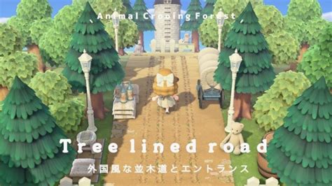 【あつ森】外国の田舎にありそうな並木道・案内所の横にエントランスを島クリ！🐰🤍／ Animal Crossing Forest あつ森 動画まとめ