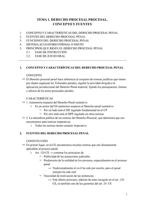 Apuntes Procesal Penal Completos Tema Derecho Procesal Procesal