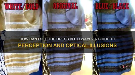 How Can I See The Dress Both Ways A Guide To Perception And Optical Illusions Shunvogue