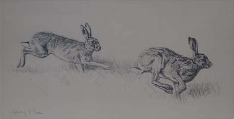 Chasing Hares | 100 copies only | 14 x 24.75 Inches Unframed - Ashley Boon