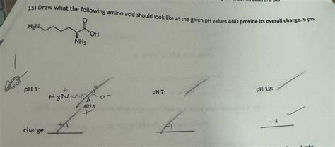 Solved 15) Draw what the following amino acid should look | Chegg.com 