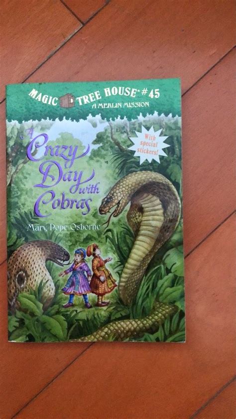 Magic tree house story books 興趣及遊戲 書本 文具 小朋友書 Carousell