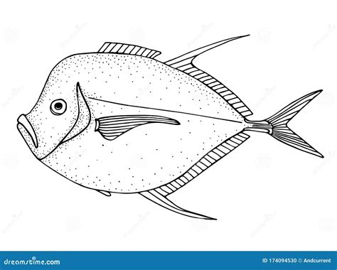 Moonfish Black Hand Drawn Realistic Outline Vector Image Stock Vector