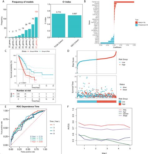 Frontiers Development And Validation Of A Novel Fibroblast Scoring Model For Lung Adenocarcinoma