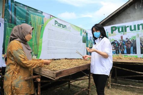 Sulap Rumput Menjadi Sedotan Nasabah Binaan BRI Ini Jadi Pahlawan