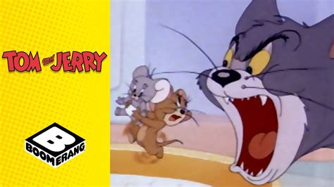 Jerry Wants Toms Milk Tom And Jerry Boomerang Uk Youtube