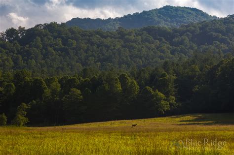 Cataloochee Valley Guide Explore The History And Beauty