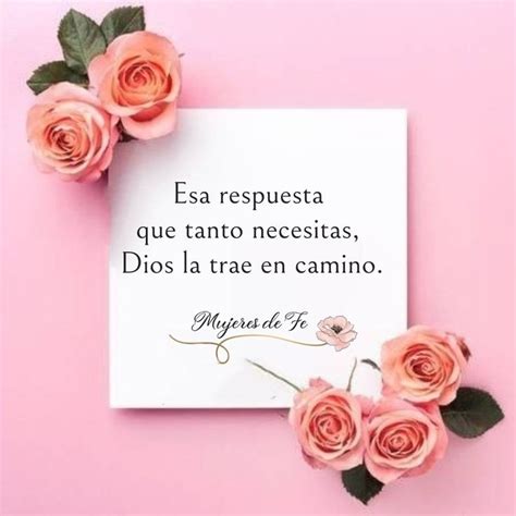 Some Pink Roses Are Laying On Top Of A White Paper With The Words In Spanish