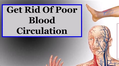 Poor Blood Circulation Cold Legs And Hands Here Is What You Can Do