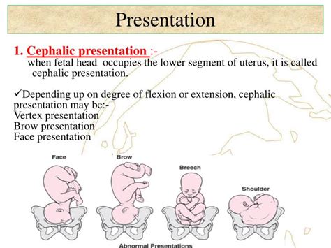 Ppt Lie Presentation Position Attitude And Denominator Powerpoint