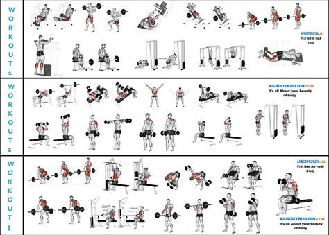 A Serious 6 Week Mass Building Routine For Serious Lifters Who Wants To Gain Mass Quickly