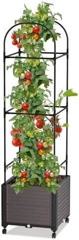 Amazon GREEN MOUNT Raised Garden Bed Planter Boxes With Trellis