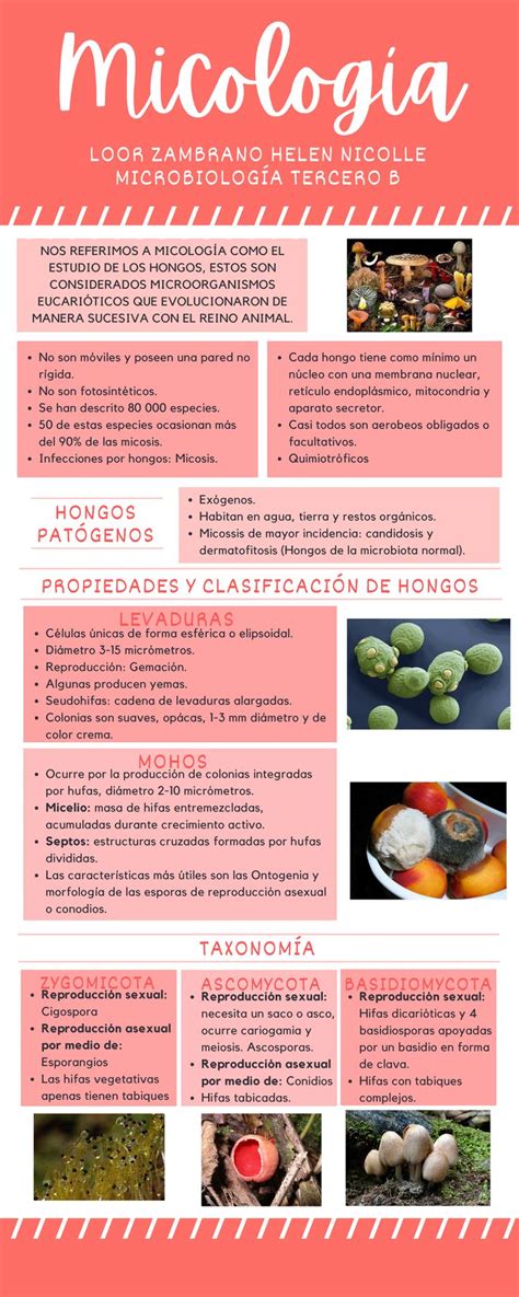 Micolog A Infografia Hongos Pat Genos Propiedades Y Clasificaci N De