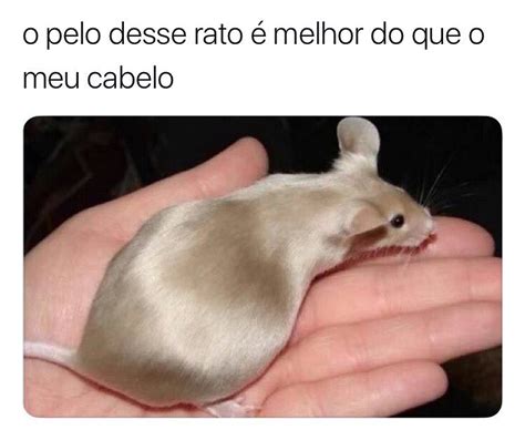 Meus Anos Cabei De Cair Da Rvore Kkkk Vo Subi Dnv Meus Anos