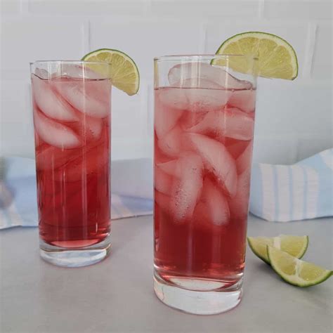 55 Easy Fruity Alcoholic Drinks Tammilee Tips