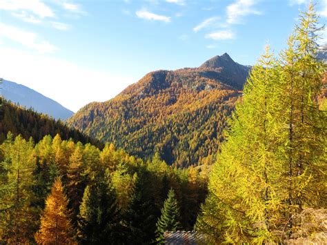 Verra Monte Rosso Di Da Saint Jacques Per Il Palon Di Resy