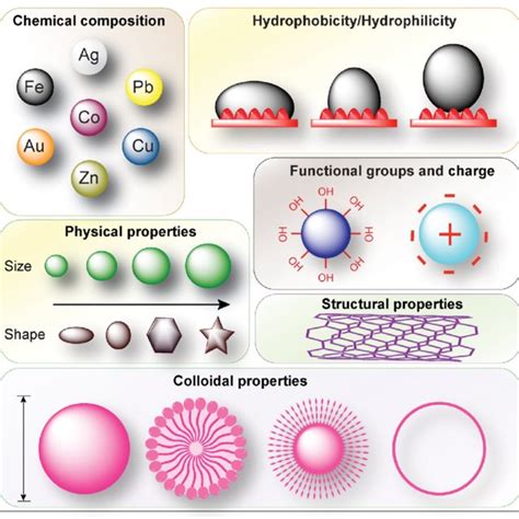 Schematic Representation Showing The Mechanisms Of Nanoparticle Sexiz Pix