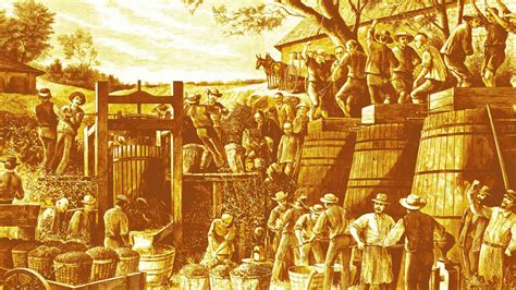 Unearthing Californias Pre Prohibition Wine Roots