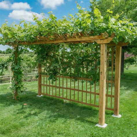 16 Grape Vine Trellis Ideas » Comfy Ideas