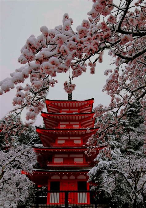 Japanese Culture, Japanese Art, Japanese Quotes, Aesthetic Backgrounds ...