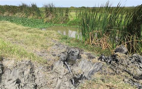 Detecta Semar toma clandestina subacuática en Tamaulipas El Sol de