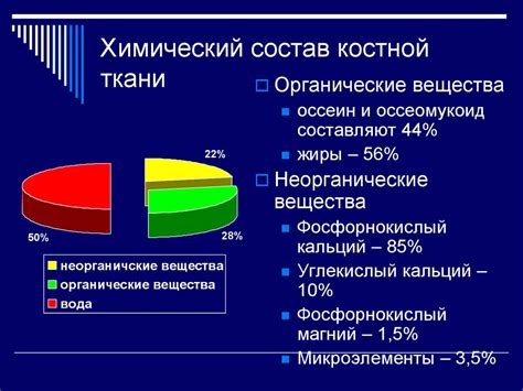 Функциональная анатомия костной системы - презентация онлайн