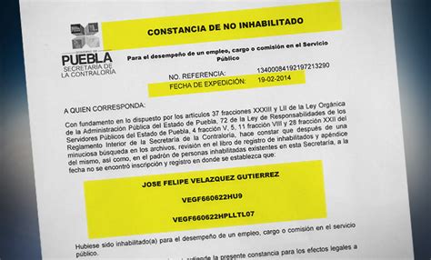 Carta de no inhabilitación Partes estructura y ejemplos 2024