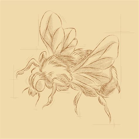 Illustration De Dessin D Abeille Dessin La Main Vecteur Premium