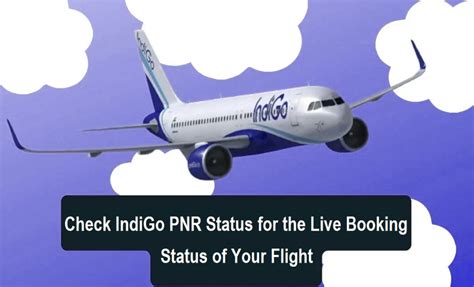 Indigo Pnr Status Check Your Flight Booking Status