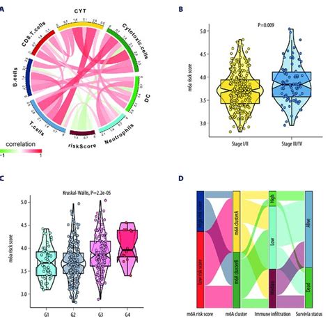 The Correlation Between Clinical Characteristic And N Methyladenosine